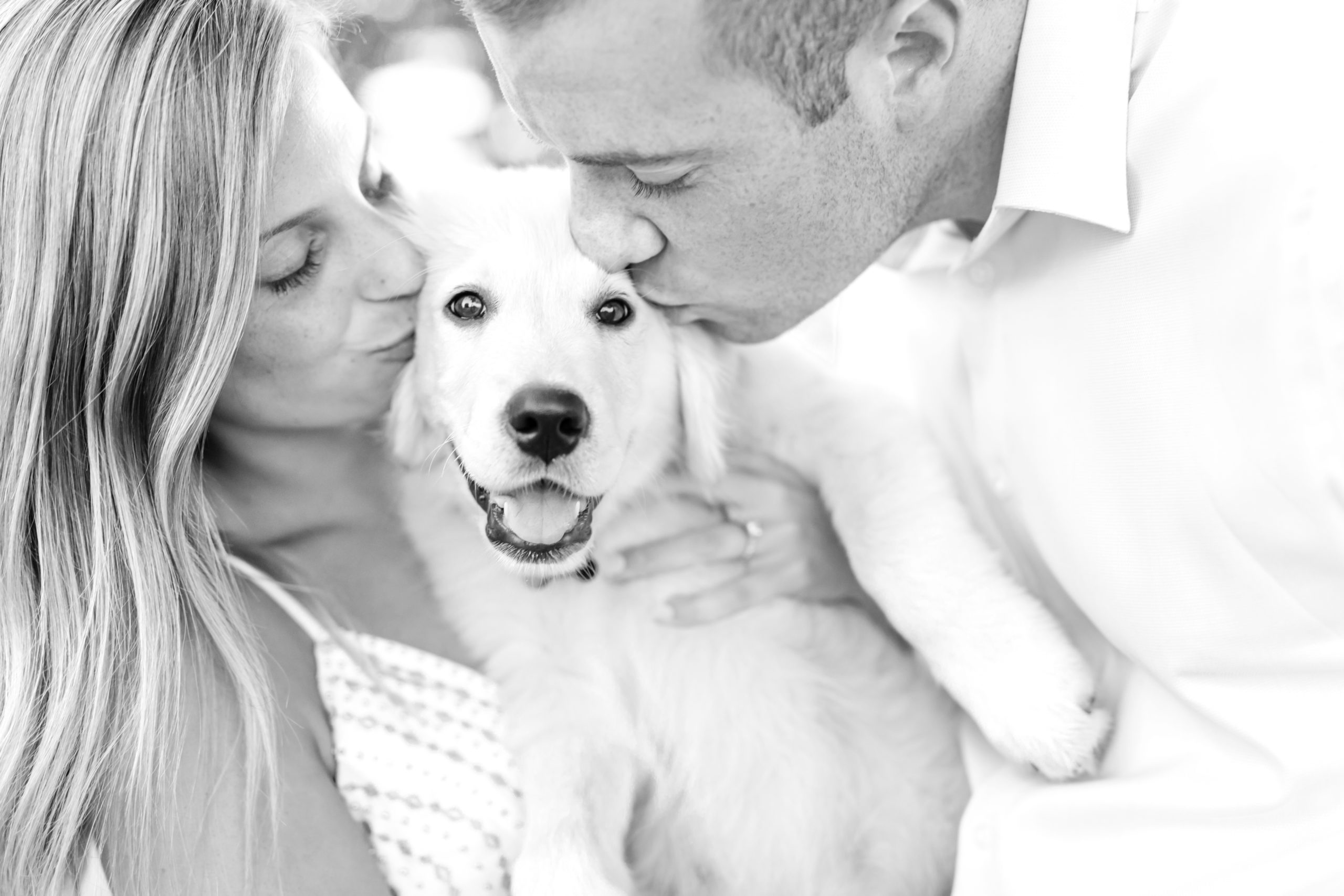 Valley Forge Engagement Session with Dog